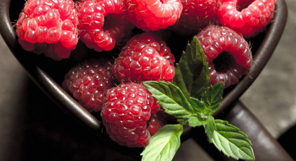 Extracto de frambuesa roja